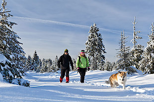 Winterwandern im Bayerischen Wald